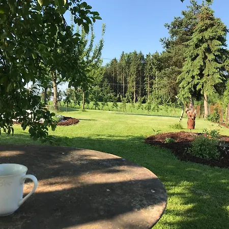 公寓 Natur-idyll Schneckenbuch